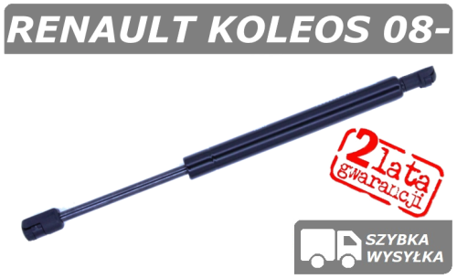 Koleos polcar szare.png