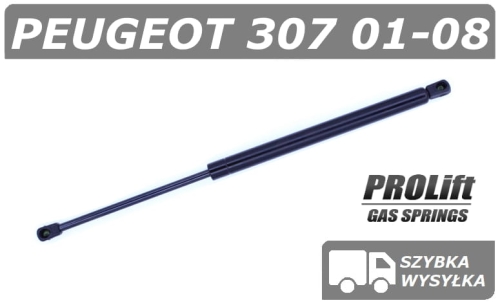 307 kombi prolift szare.png
