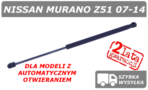 Z51 z polcar szare.png