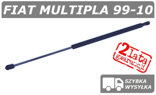 Multipla polcar szare.png