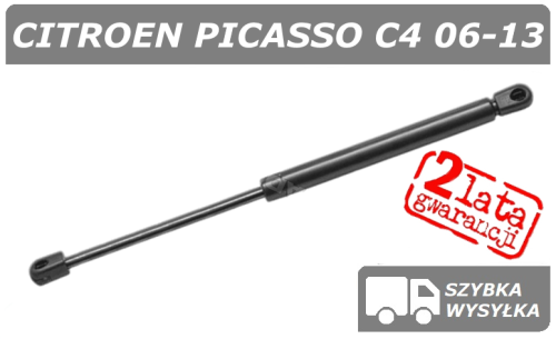 C4 Picasso okna polcar szare.png